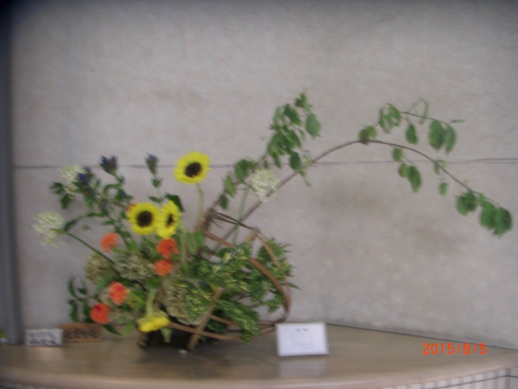 6/8